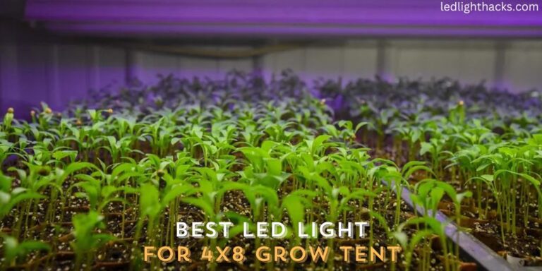 Best LED Light for 4×8 Grow Tent