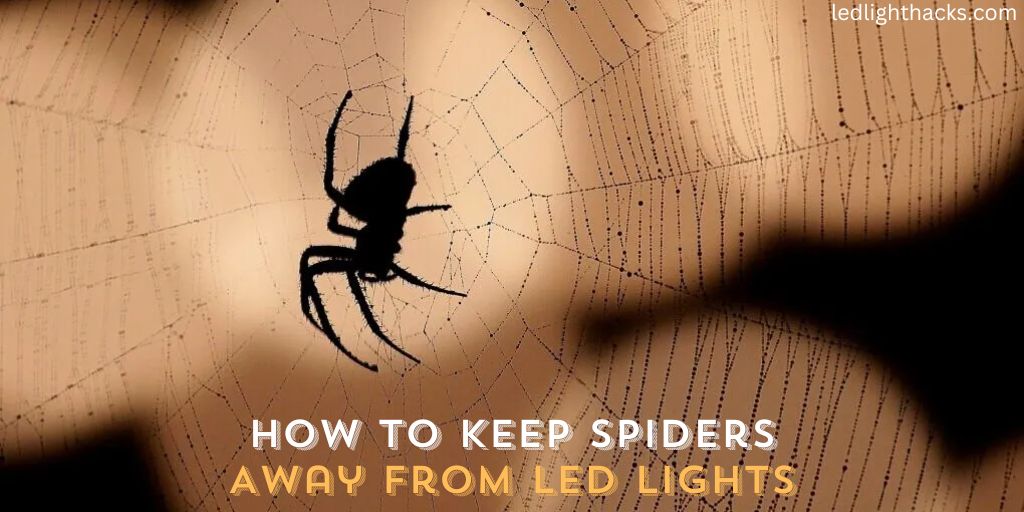 How to Keep Spiders Away from LED Lights