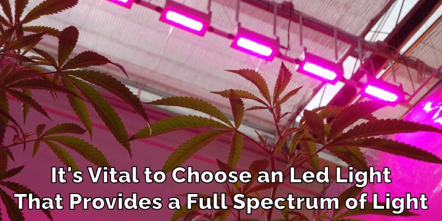 It's Vital to Choose an Led Light
That Provides a Full Spectrum of Light