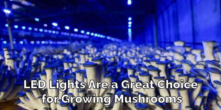 LED Lights Are a Great Choice 
for Growing Mushrooms