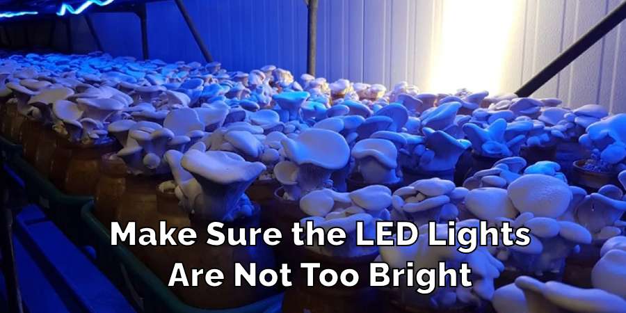 Make Sure the Led Lights Are Not Too Bright