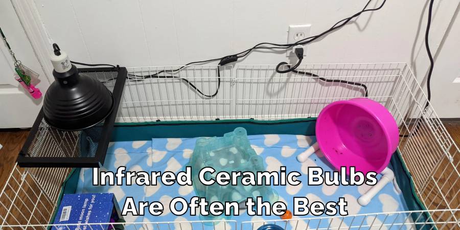Infrared Ceramic Bulbs
Are Often the Best