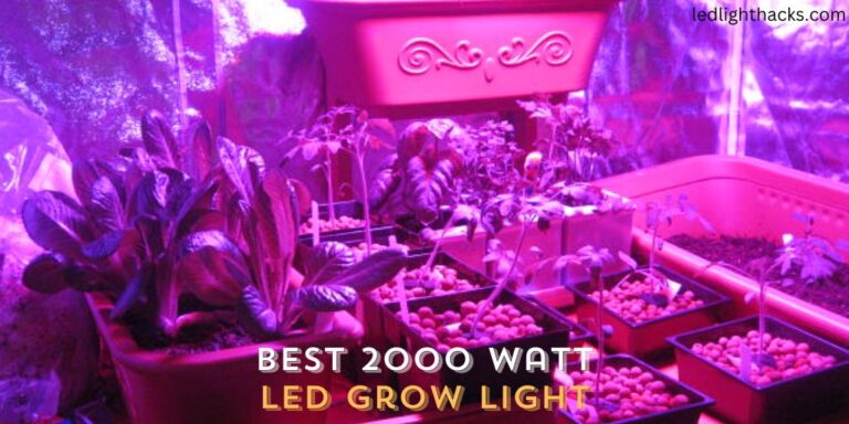 Best 2000 Watt LED Grow Light